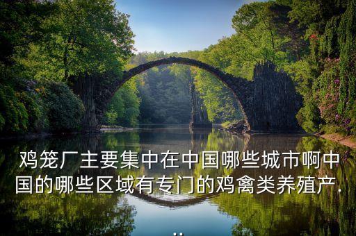  雞籠廠主要集中在中國哪些城市啊中國的哪些區(qū)域有專門的雞禽類養(yǎng)殖產(chǎn)...