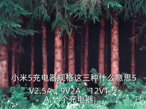  小米5充電器規(guī)格這三種什么意思5V2.5A、9V2A、12V1.5A,一個充電器...