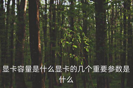 顯卡容量是什么顯卡的幾個重要參數(shù)是什么