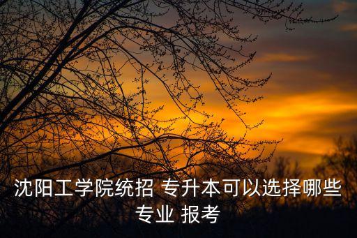 沈陽工學(xué)院統(tǒng)招 專升本可以選擇哪些專業(yè) 報考