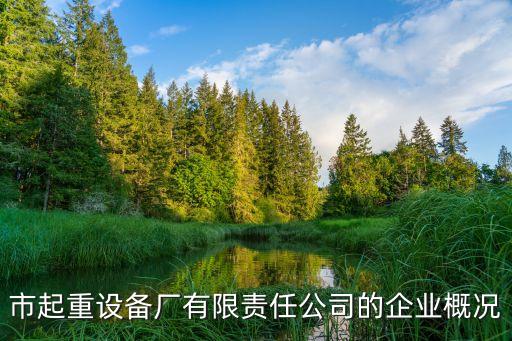 寧波自動化起重機(jī)安裝公司,起重機(jī)的使用