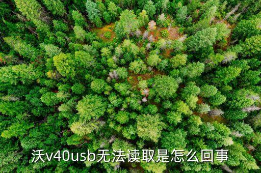 沃v40usb無法讀取是怎么回事