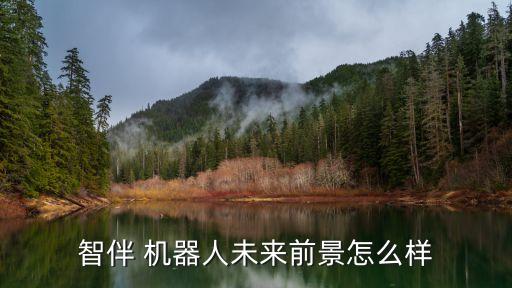 智伴 機器人未來前景怎么樣