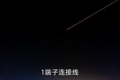1端子連接線