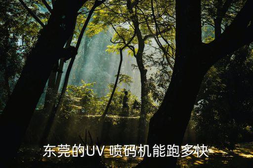東莞的UV 噴碼機能跑多快