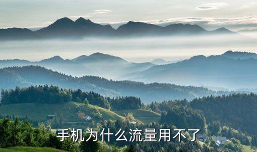安卓手機(jī)不能使用數(shù)據(jù)流量,手機(jī)流量打不開怎么辦?