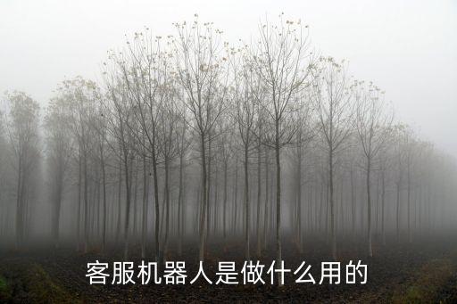 客服機(jī)器人是做什么用的