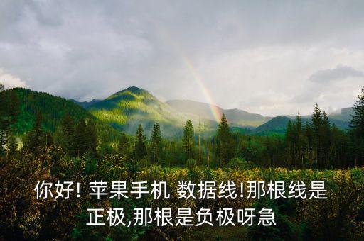 你好! 蘋果手機(jī) 數(shù)據(jù)線!那根線是正極,那根是負(fù)極呀急
