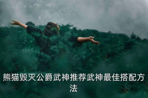 熊貓毀滅公爵武神推薦武神最佳搭配方法