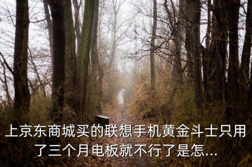 上京東商城買的聯(lián)想手機黃金斗士只用了三個月電板就不行了是怎...
