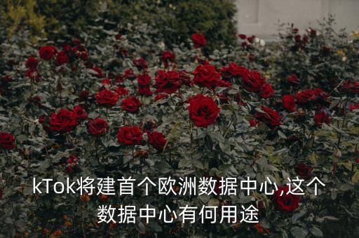 kTok將建首個(gè)歐洲數(shù)據(jù)中心,這個(gè)數(shù)據(jù)中心有何用途