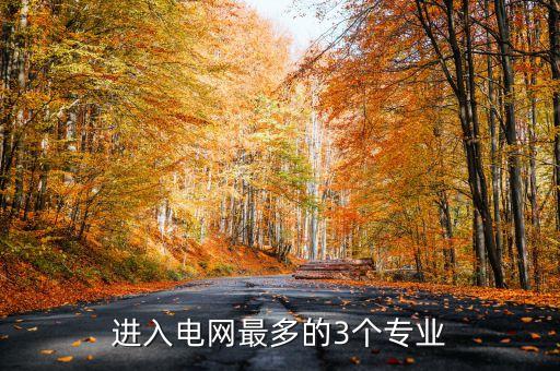 進(jìn)入電網(wǎng)最多的3個(gè)專業(yè)