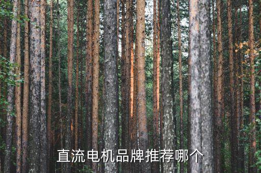 全自動(dòng)化微型電機(jī)設(shè)備廠家,微電機(jī)生產(chǎn)自動(dòng)化設(shè)備