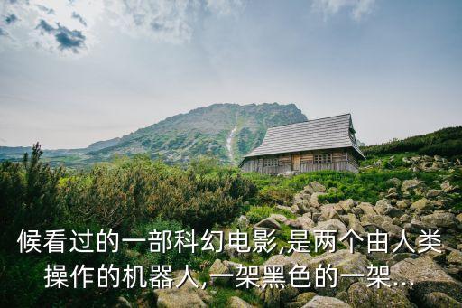 美國電影 兩個(gè)機(jī)器人,仿生機(jī)器人美國電影