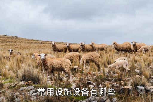 自動化的物流設(shè)備有哪些,有哪些智能物流設(shè)備?