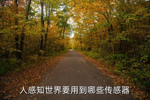 人感知世界要用到哪些傳感器