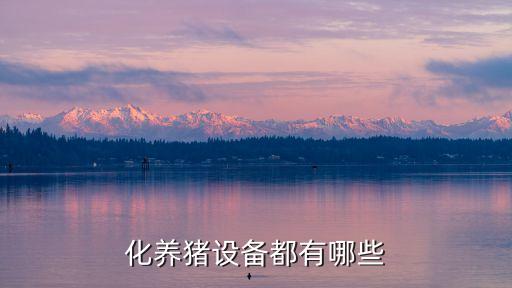 銅陵自動(dòng)化養(yǎng)豬設(shè)備公司,山東自動(dòng)化養(yǎng)豬設(shè)備公司