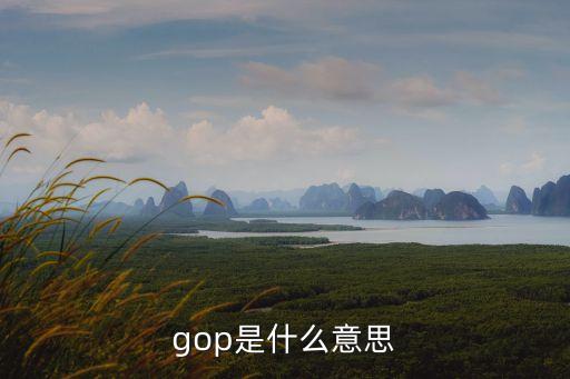 gop,酒店gop什么意思?
