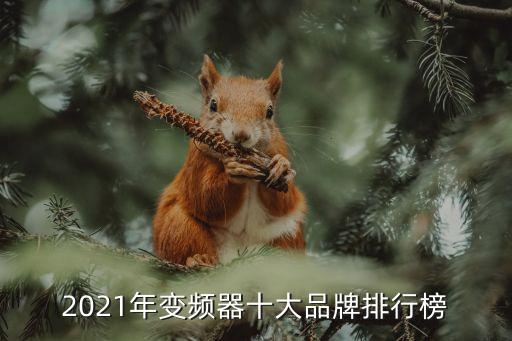 全球自動(dòng)化公司排行,十大特種機(jī)器人公司排名前六