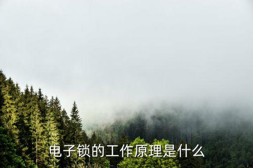 電子鎖的工作原理是什么