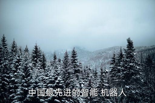 十大機(jī)器人公司排名2015年