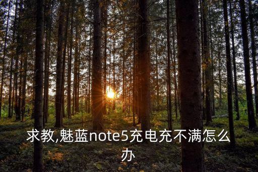求教,魅藍(lán)note5充電充不滿怎么辦