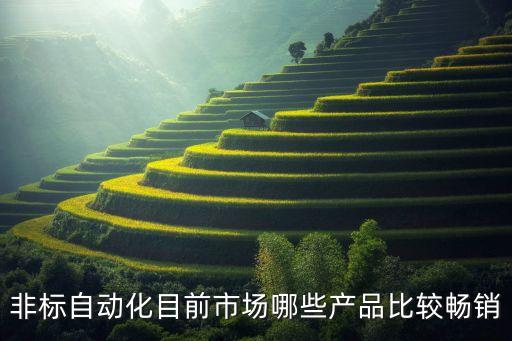 非標(biāo)自動化目前市場哪些產(chǎn)品比較暢銷