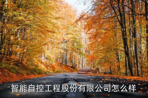 無錫智臻自動(dòng)化科技有限公司,智臻電子有限公司