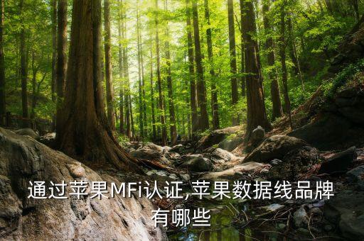 通過蘋果MFi認證,蘋果數(shù)據(jù)線品牌有哪些