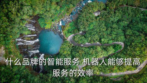 什么品牌的智能服務(wù) 機(jī)器人能夠提高服務(wù)的效率