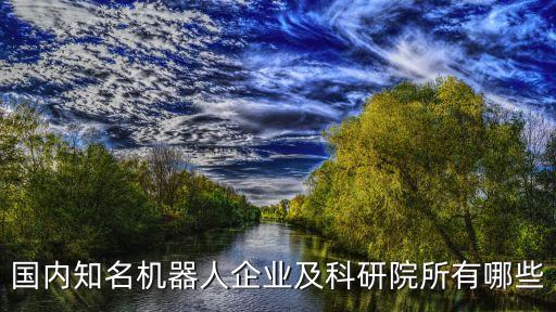 國內(nèi)知名機器人企業(yè)及科研院所有哪些