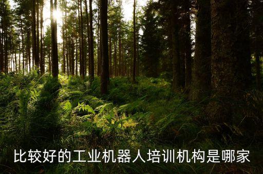 abb機(jī)器人中國(guó)區(qū)李剛,工業(yè)機(jī)器人控制編程難學(xué)嗎?