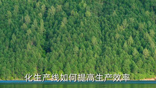 化生產(chǎn)線如何提高生產(chǎn)效率