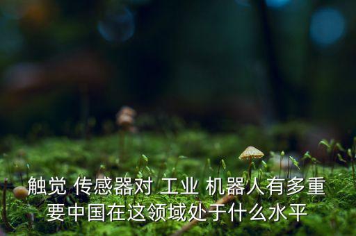 觸覺 傳感器對(duì) 工業(yè) 機(jī)器人有多重要中國(guó)在這領(lǐng)域處于什么水平
