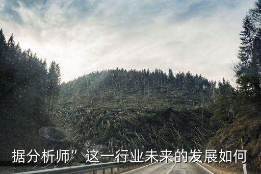 據(jù)分析師”這一行業(yè)未來的發(fā)展如何