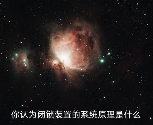 你認(rèn)為閉鎖裝置的系統(tǒng)原理是什么