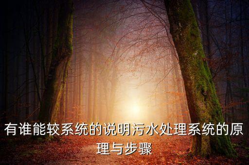 有誰(shuí)能較系統(tǒng)的說(shuō)明污水處理系統(tǒng)的原理與步驟