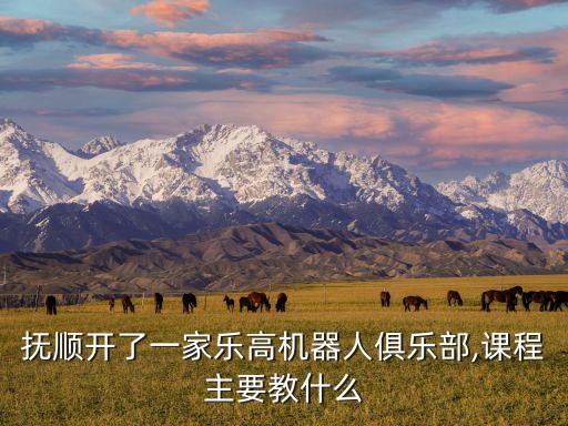 合肥森浮機(jī)器人,富森機(jī)器人的地址