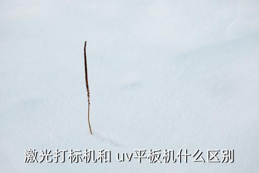 激光打標(biāo)機和 uv平板機什么區(qū)別