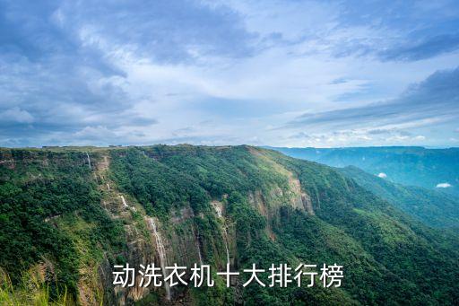 全自動化上市公司排名前十,十大芯片上市公司