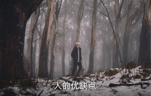 人的優(yōu)缺點(diǎn)