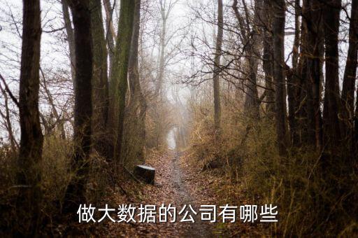 大數(shù)據(jù)分析公司諸 io,國(guó)內(nèi)大數(shù)據(jù)分析公司