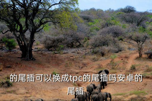 的尾插可以換成tpc的尾插嗎安卓的尾插