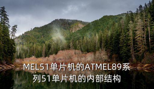atmel,如何閱讀atmel?