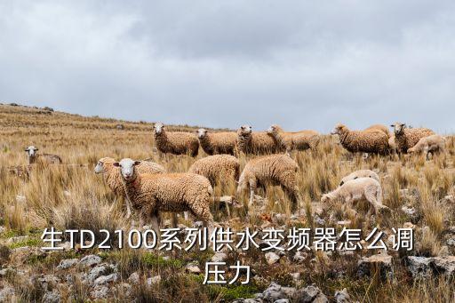 自動(dòng)化調(diào)壓設(shè)備系列,騰飛達(dá)自動(dòng)化設(shè)備模具調(diào)整