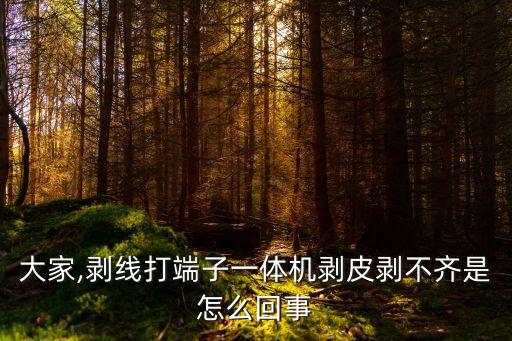 大家,剝線打端子一體機剝皮剝不齊是怎么回事