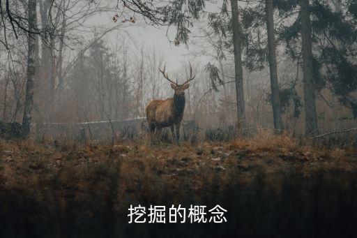 挖掘的概念