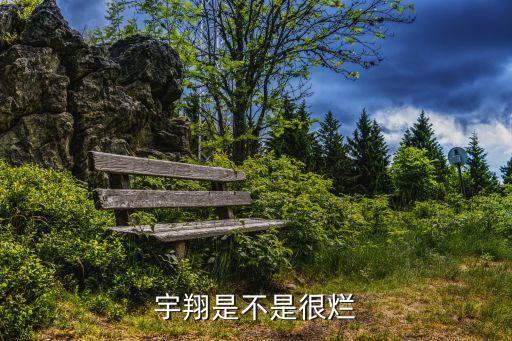 宇翔是不是很爛
