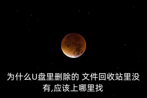為什么U盤里刪除的 文件回收站里沒有,應該上哪里找