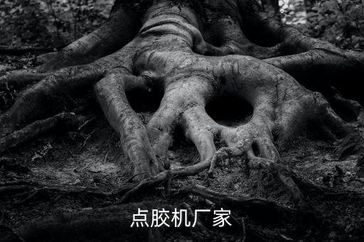 點(diǎn)膠機(jī)廠家
